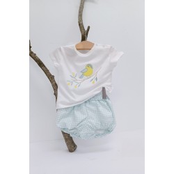 Conjunto Pajarito- Conjunto...